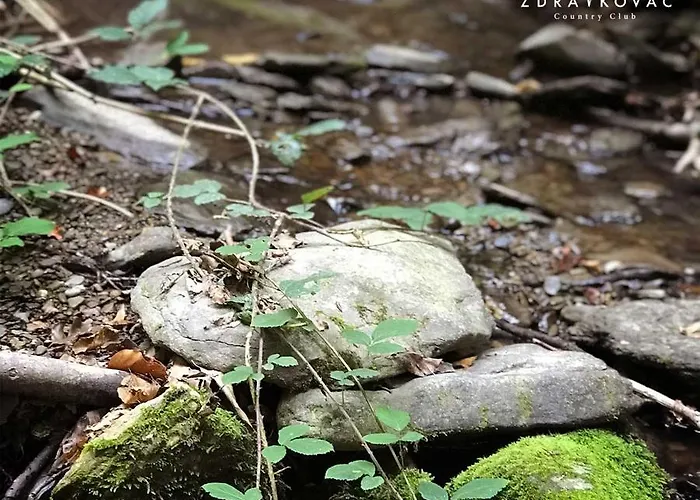 Zdravkovac Country Club Resort *