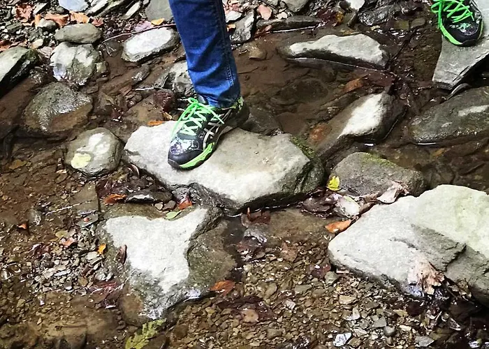 Zdravkovac Country Club