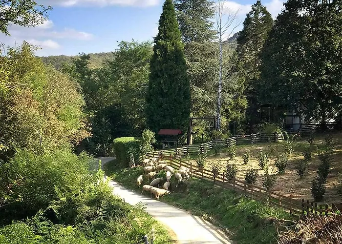 Zdravkovac Country Club Üdülőközpont *