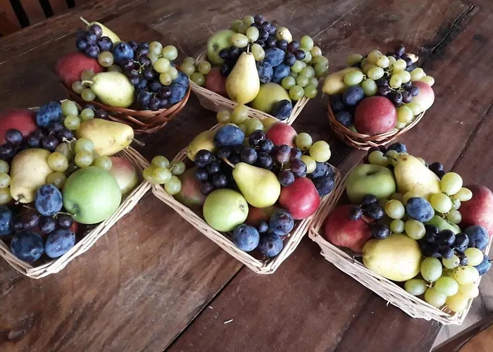 Zdravkovac Country Club Resort *